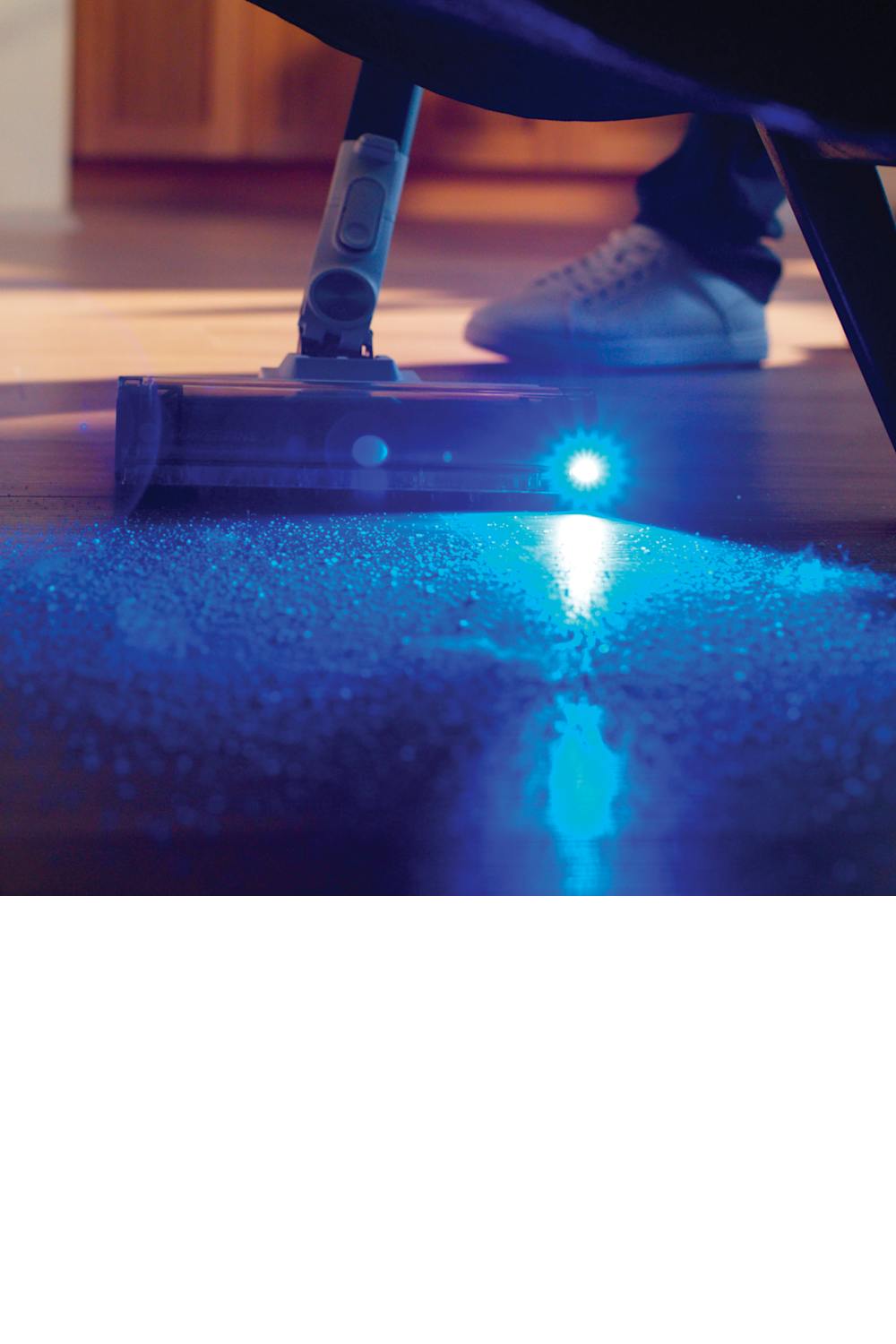 Gallery asset 5 of 16