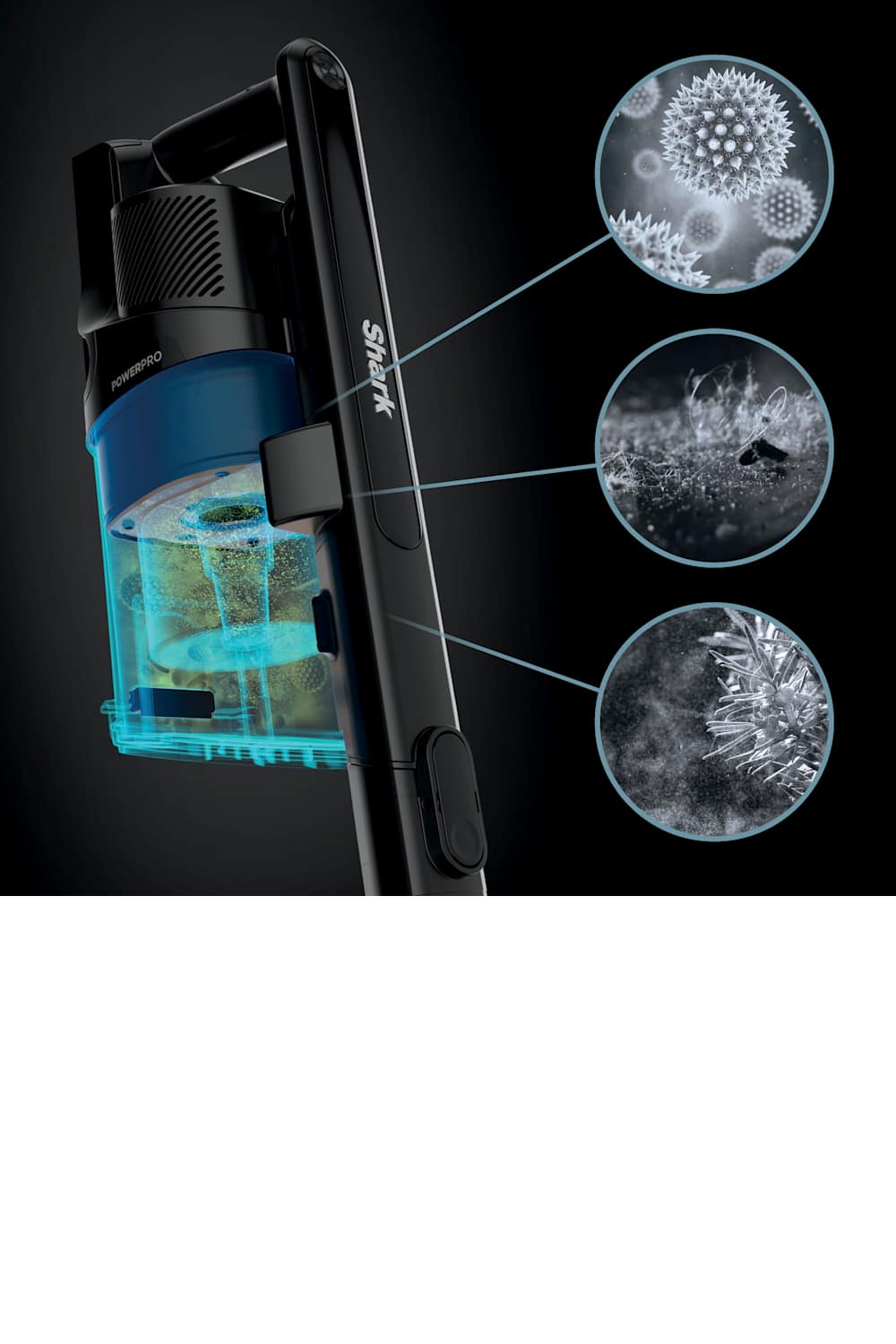 Gallery asset 7 of 16