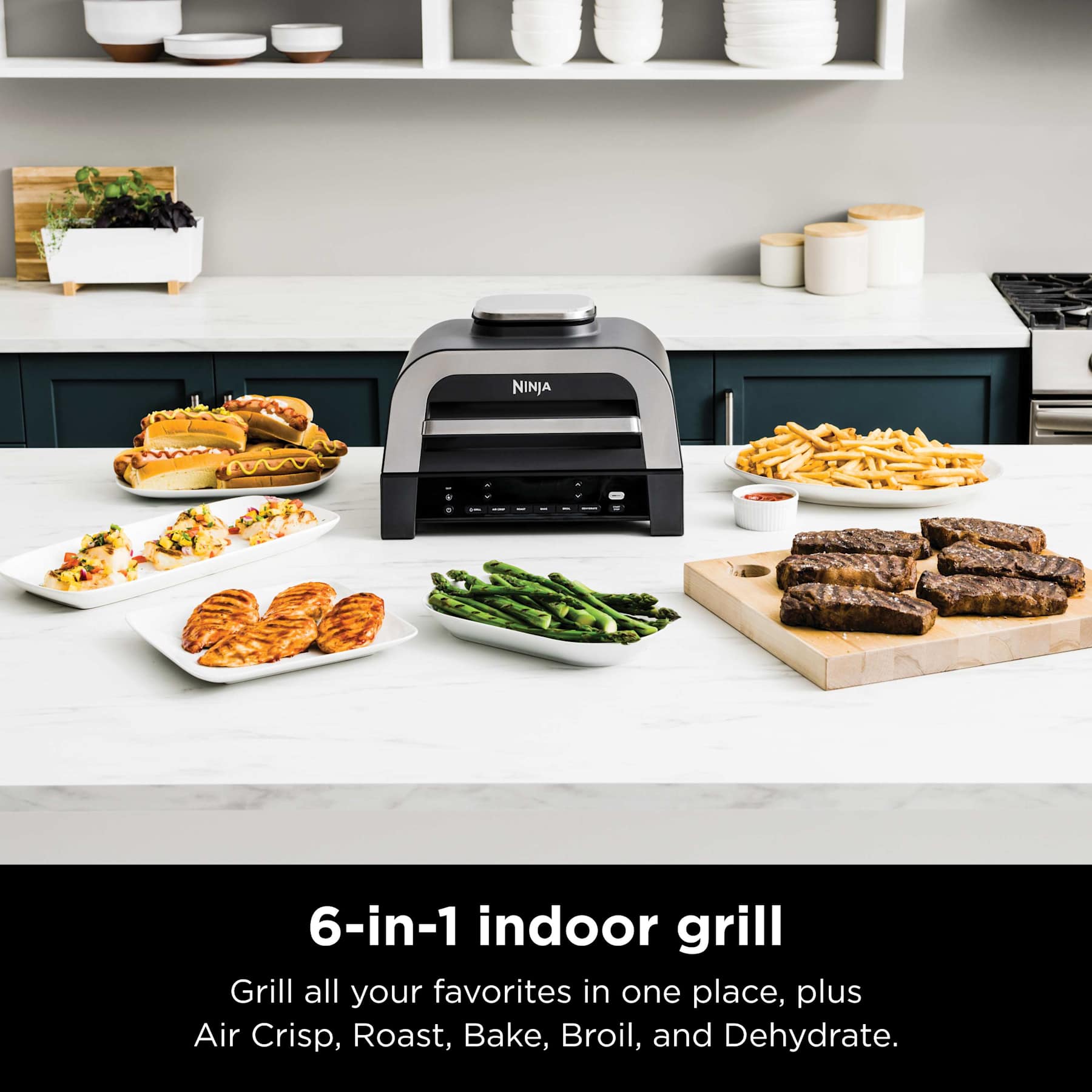 Ninja Foodi Grill and Air Fryer