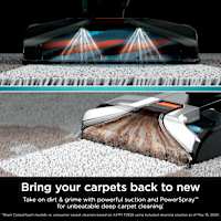 Shark® CarpetXpert™ with Stainstriker™ Upright Deep Carpet Cleaner Shark Catalog US - Shark
