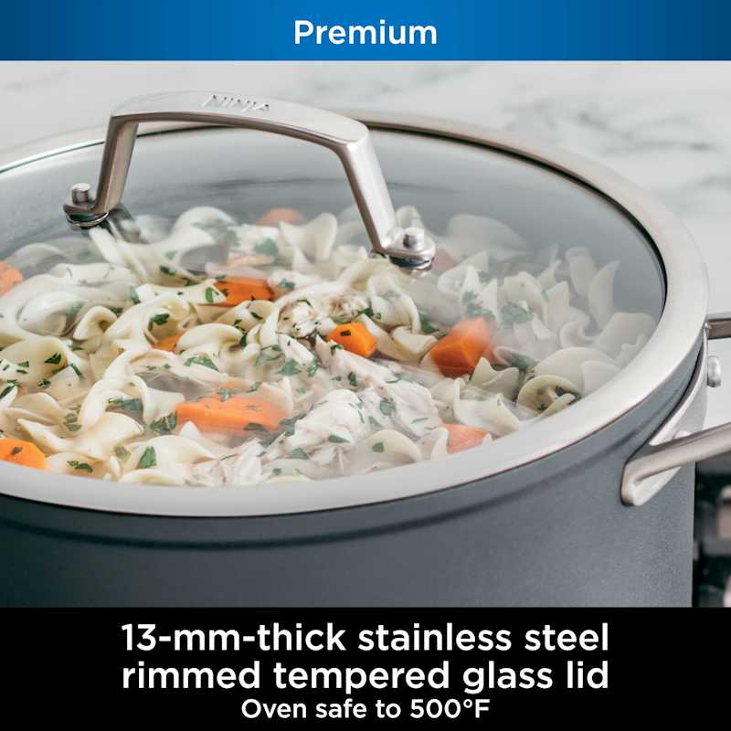 Ninja Neverstick™ Professional 8-Quart Stock Pot with Glass Lid