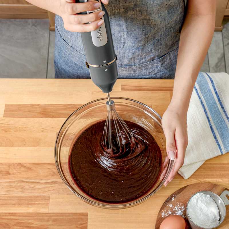 Ninja® Power Duo Immersion Blender with Whisk (Dark Gray