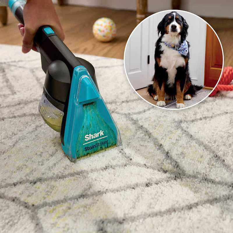 Shark® CarpetXpert™ HairPro® Pet with StainStriker™ Carpet Cleaners - Shark