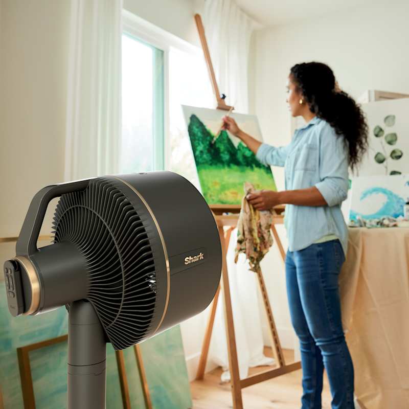 Shark FlexBreeze Fan With InstaCool Misting Attachment