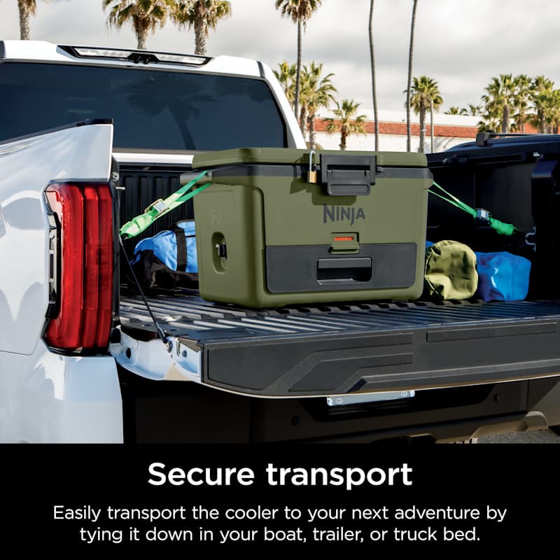  ピーターラビット グリーンジャスパーボックス Ninja FrostVault™ 50qt Hard Cooler with Cold Dry Zone, Spruce