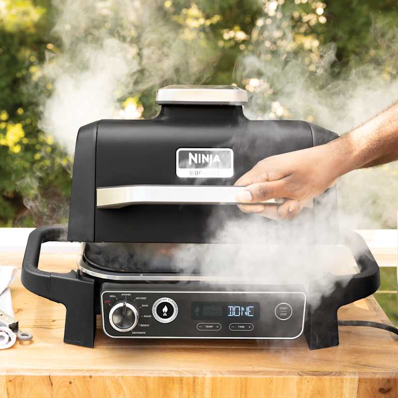 Ninja Woodfire™ Outdoor Grill Smoker SharkNinja