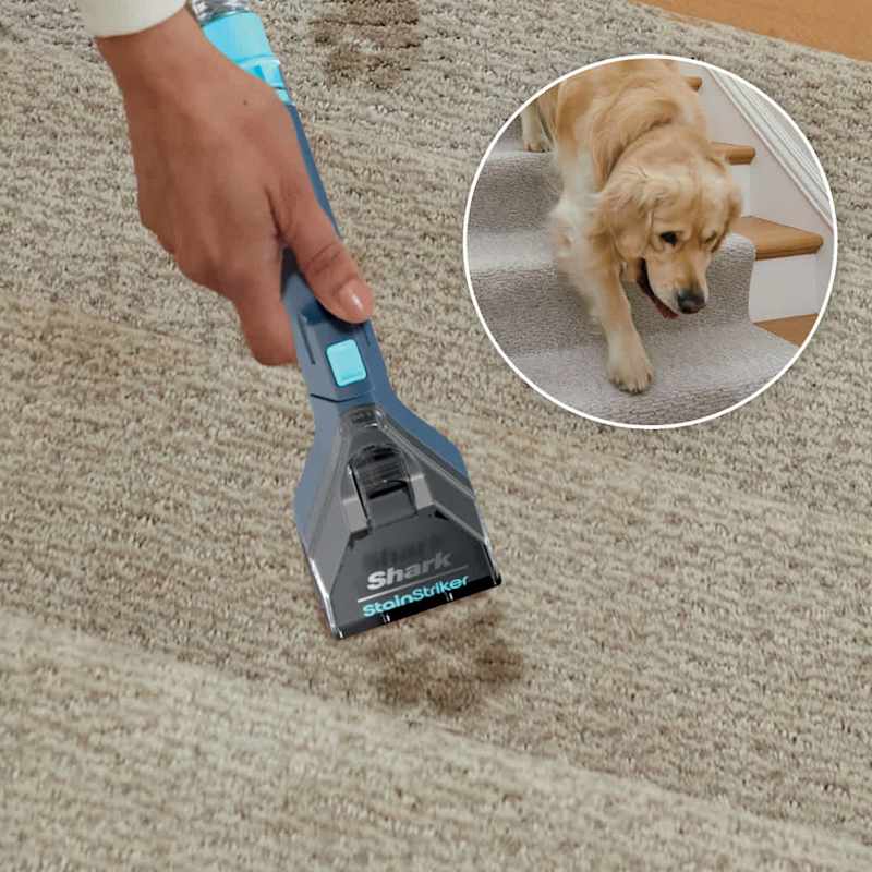 Nettoyeur De Tapis Portable Ailltopd C4 - Nettoyage Taches Pour Canapé, Animaux, Escaliers - Noir Et Blanc