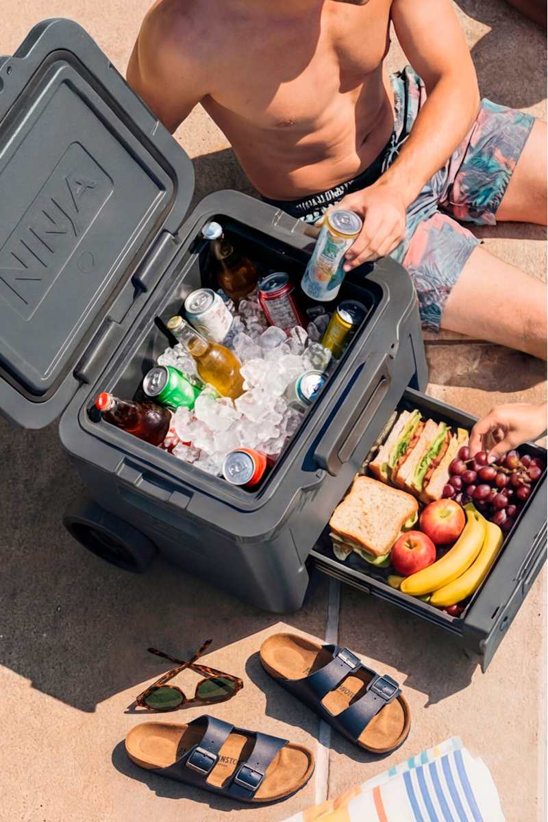 Ninja FrostVault™ 42qt Cooler with Wheels in Waterside Wind Down