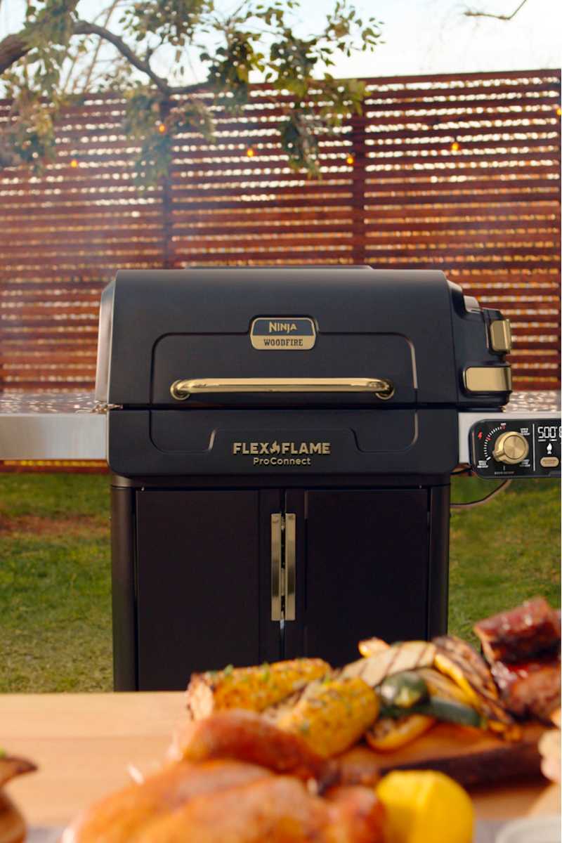 Ninja™ FlexFlame™ ProConnect™ Smart Cooking System | SharkNinja