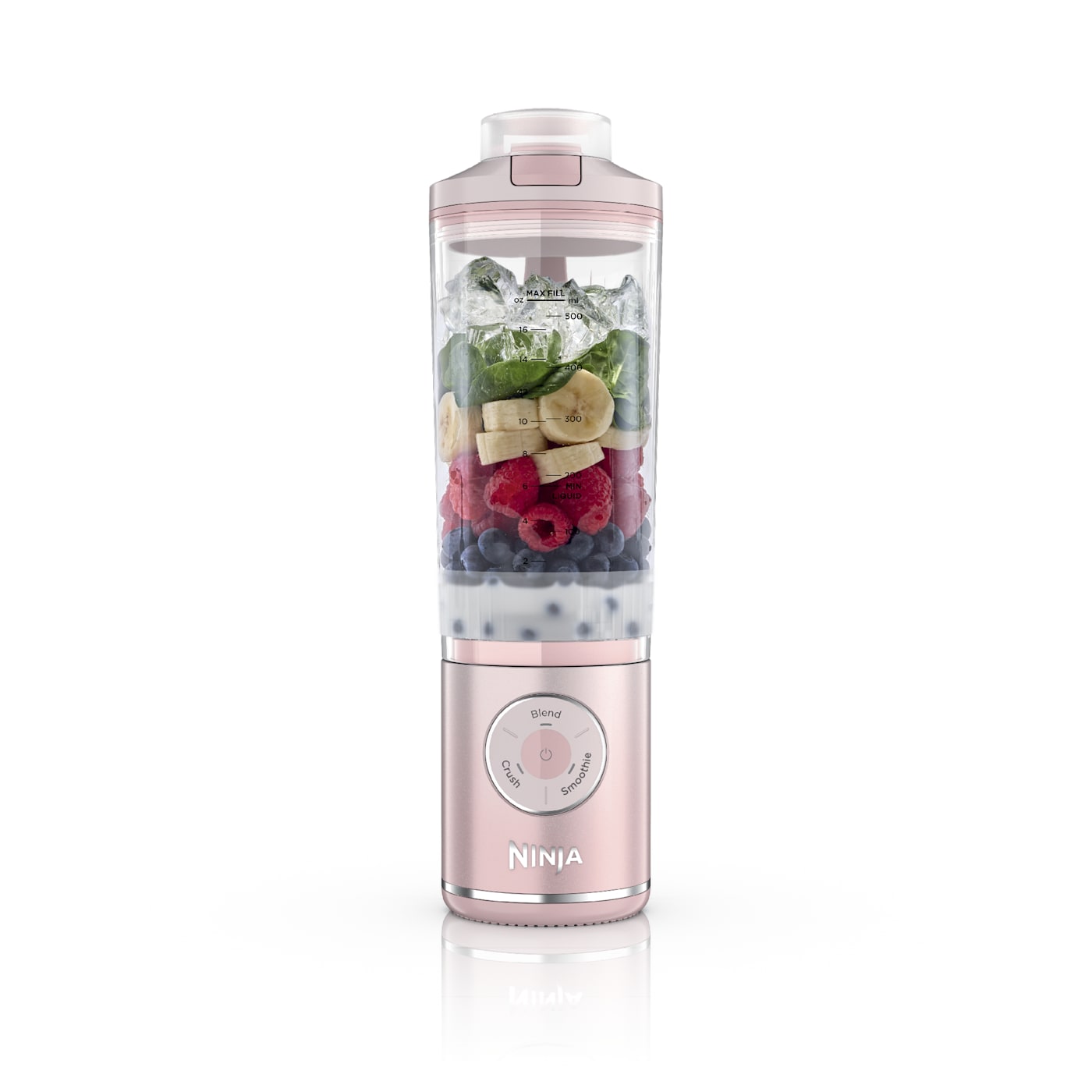 Ninja personal blender for dorm room